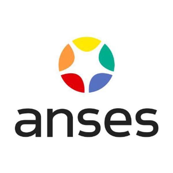 Logo anses